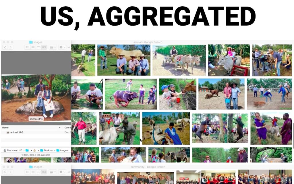 화면 왼쪽에 애니멀 쩜 제이피지가 파일명인 사진이 있고, 사진에는 세 명이 있다. 옆으로 누운 형태의 소의 동상이 있고, 흑인 여성과 젊은  청소년 흑인 여성이 그 위에 앉아서 웃고 있다. 둘 뒤로는 흑인 남성이 웃으며 서 있다. 화면 오른쪽에는 어떤 형식으로든 이와 비슷해 보이는 20개의 사진이 바둑판처럼 배열되어있다. 주로 여러 명의 흑인 혹은 백인이 모여 소나 말을 타고 있거나, 먹이를 주고 있거나, 만지고 있는 장면이다.